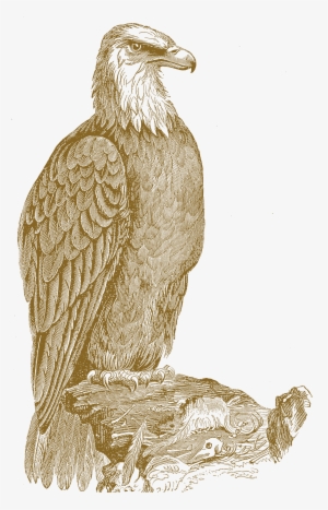 Tag - 300dpi #1387207