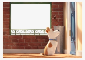 Secret Life Of Pets (dvd) #1387386