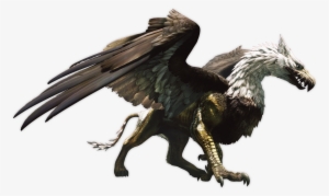 Can You Name All - Dragon's Dogma Griffin #1388092