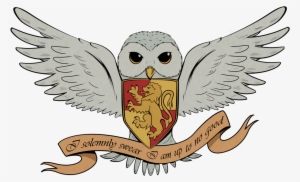 Percy Diggory - Hedwig Harry Potter Cartoon #1388340