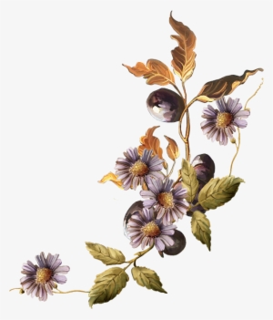 Фото, Автор Иришка-манюшка На Яндекс - ملحقات تصاميم ورد #1389057