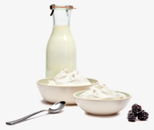 Our Yogurt - Milk And Yogurt Png #1389095