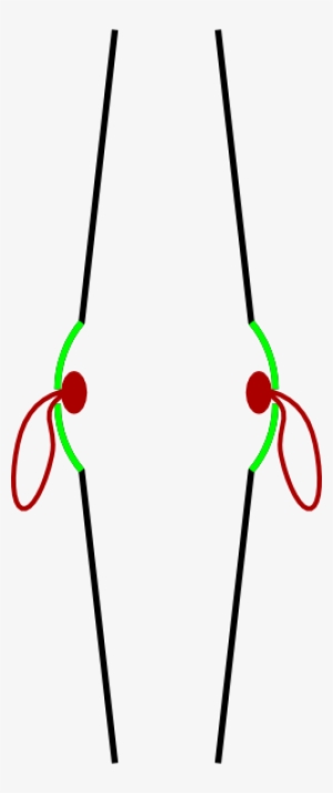 Crash Cymbals Profile - Cymbal #1391065