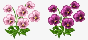 Pink Clipart Pansy - Violets Clip Art #1392523