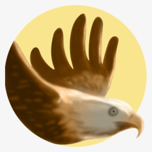 In My Brainstorming And Research Phase, I Decided To - Isaiah 40 #1393303