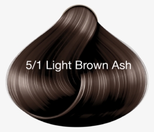 /1 Ash #1395723 /1 Ash #1395723
