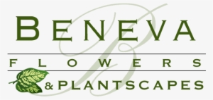 Return To The Homepage - Evergreen Classics In Bossa #1396689