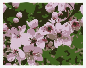 Cameroon Flowers Clipart Plum Blossom Flower - National Plant Of Cameroon #1397912