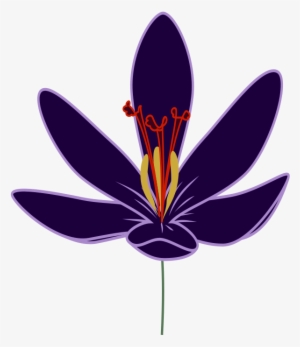 How To Set Use Crocus Blossom Clipart #1398058