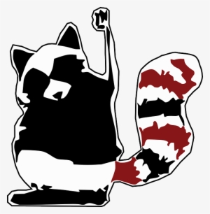 Raccoon, Coon, Racoon, Animal Fighting, Fist, Winner - Rebel Raccoon #1398398