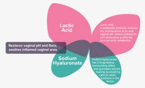 Lactic Acid Is Naturally Produced By Friendly Bacteria - Active Ingredient #1399964