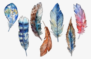 Feather Png Photo - Feather #140306