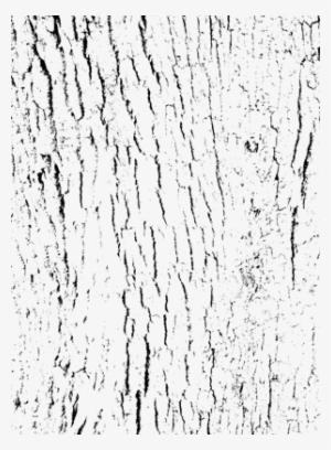 15 Distressed Texture Png For Free Download On Mbtskoudsalg - Monochrome #140332