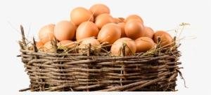 Organic Eggs Png Image Stock - Eggs In A Basket Png #140516