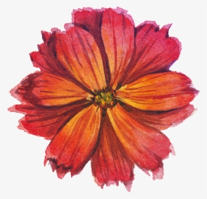 Fragrant Red Transparent Watercolor Flowers - Watercolor Floral Transparent Red #140746