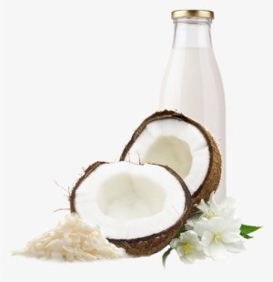 Coconut Milk Png - Asobu Juicy Drink Box Tritan Juice Box #140793