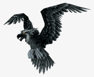 Raven - Raven Bird #140867