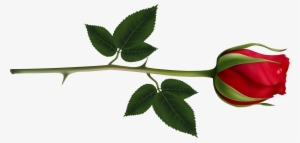 Rose Clipart Images And Pictures Download - Red Rose Bud Png #141377
