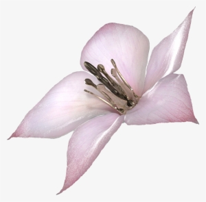 Imagei Made A Png Of A Lunar Tear, Use It Well - Lunar Tear Drakengard 3 #141557