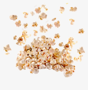 Popcorn Png Picture - Animal #141630