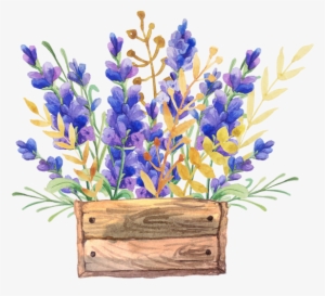 English Lavender Watercolor Painting Flower Drawing - Watercolor Flowers In A Box #141704