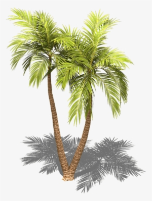 Preview - Palm Trees #141892