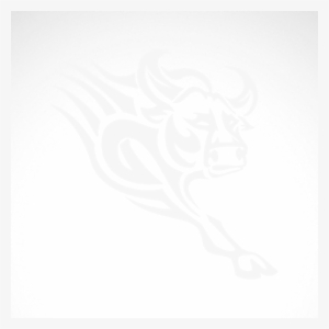 Banner Free Download Simple Color Vinyl Bull Racing #142048