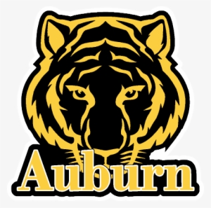 Auburn Elementary School - Okay! - Dj Favorite & Theory - Download #142424