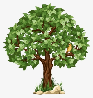 9 - Transparent Background Tree Clipart #142498