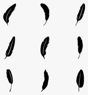 Feathers - Feather Icons #142586
