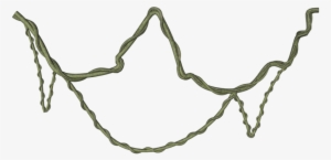 15 Jungle Vine Png For Free Download On Mbtskoudsalg - Jungle Vine Transparent #143107