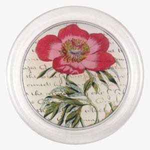 Tree Peony #143291 Tree Peony #143291