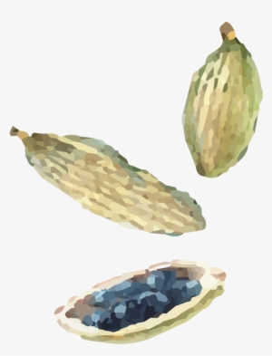 Watercolor Indian Cuisine Seeds - Indian Cuisine #143368