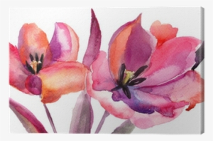 Tulips Flowers, Watercolor Painting Canvas Print • - Watercolor Painting #143475