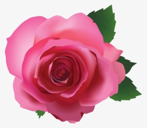 White Pink Rose Transparent Background #143503