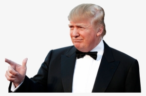 Donald Trump Png - Trump Png #143586