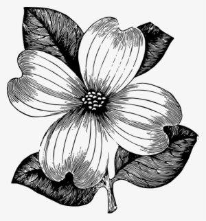 Free Download ~ Flower Clipart And Vector - Drawing #143884 Free Download ~ Flower Clipart And Vector - Drawing #143884