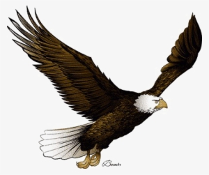 Flying Eagle Png Pic - Flying Eagle Clip Art #144199
