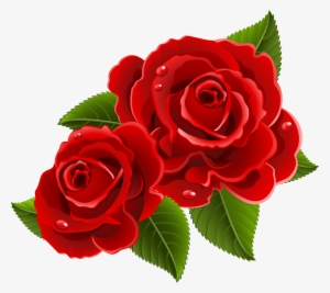 Beautiful Clipart Red Rose - Beautiful Red Rose Flowers #144635