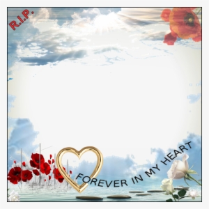 Security Check Required - Tableau - Coquelicots - Rouge Miracle - Bimago - Bimago #145103