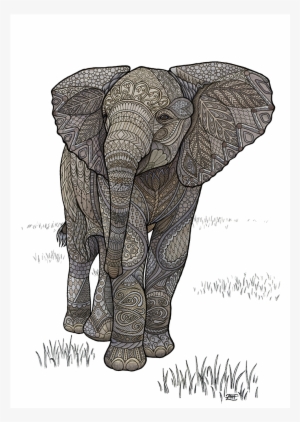 A Happy Little Adolescent Elephant, Unaware That He's - Drawing #145220