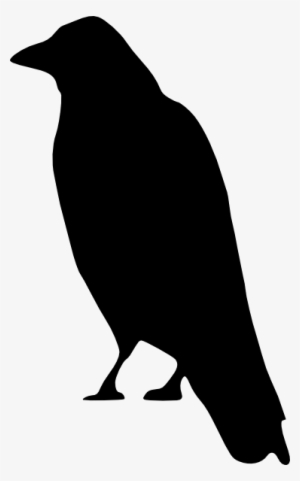 Raven Transparent - Crow Clip Art #145375