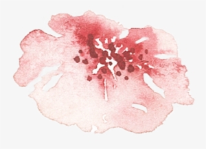 Of A Friends Wedding In The Summer Of - Hibiscus #145633