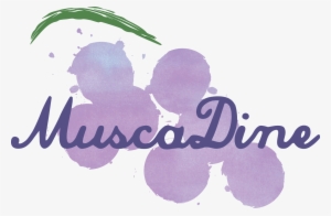 Muscadine Rgbwatercolor Grapes Purple - Muscadine #146248