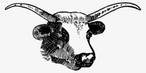 Bull Head Vector Png - Clipart Horns #146541 Bull Head Vector Png - Clipart Horns #146541