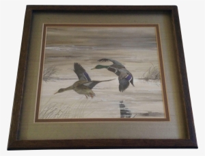Robert E Krieg Saa , Mallard Ducks In Flight, Gouache - Watercolor Painting #146601