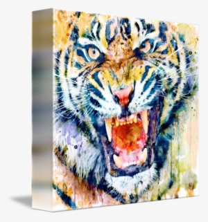 Tiger Face Watercolor Closeup By Marian Voicu - Watercolor Painting #146728