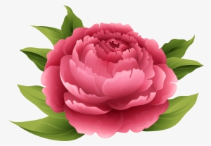 Red Peony Png Clip Art Image - Malbuch Fr Erwachsene: Traumhafte Blumenstrusse Zum #146779