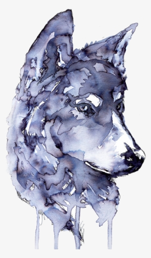 Transparentrwedfefgre - Wolf Watercolor #146783