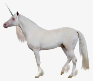 Unicorn Png Image - Caballo Unicornio Png #146890